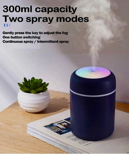H20 Humidifier