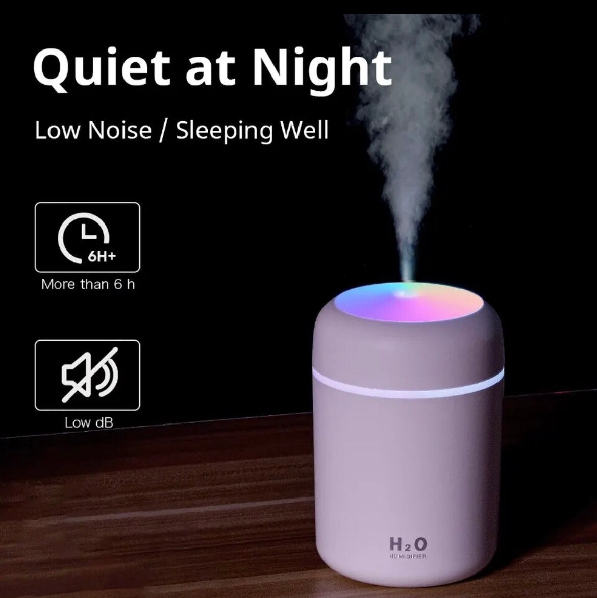 H20 Humidifier