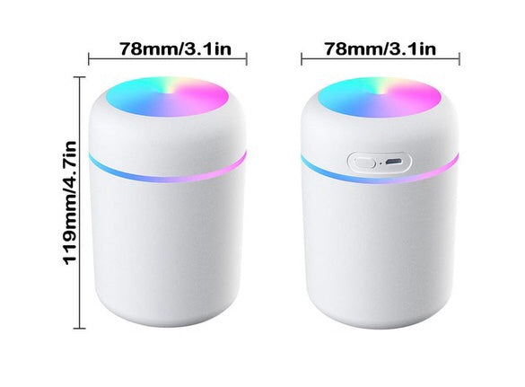 H20 Humidifier