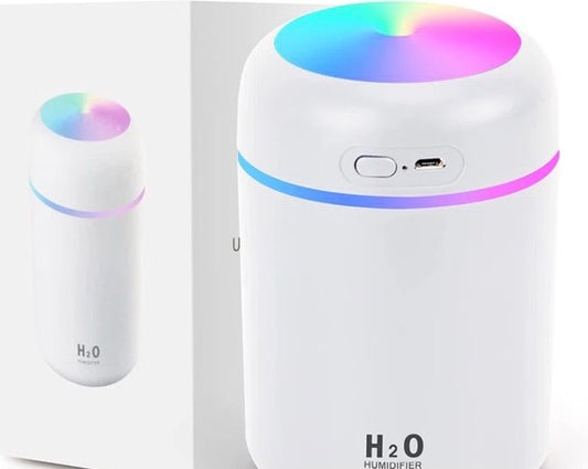 H20 Humidifier